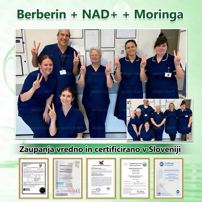 ✨ANGELTRAP® Moringa × Berberin × AMPK 10-v-1 Metabolična podpora, obliž z nanotehnologijo mikroiglic 🇸🇮 (Dovolj je enkrat na dan, vidni rezultati v 7 dneh) ✅ Za debelost, ohlapno kožo, sladkorno bolezen, spalno apnejo, težave s sklepi in številne druge
